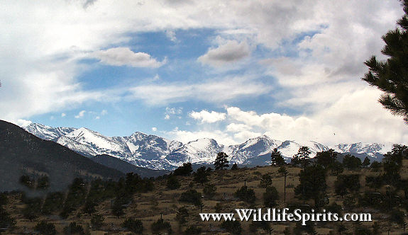 Click Picture to send as an  E-PostCard 52k 575x332